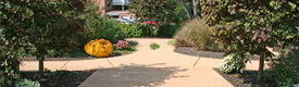 St. Edmonds Home for Children, Sensory Garden, Villanova, PA